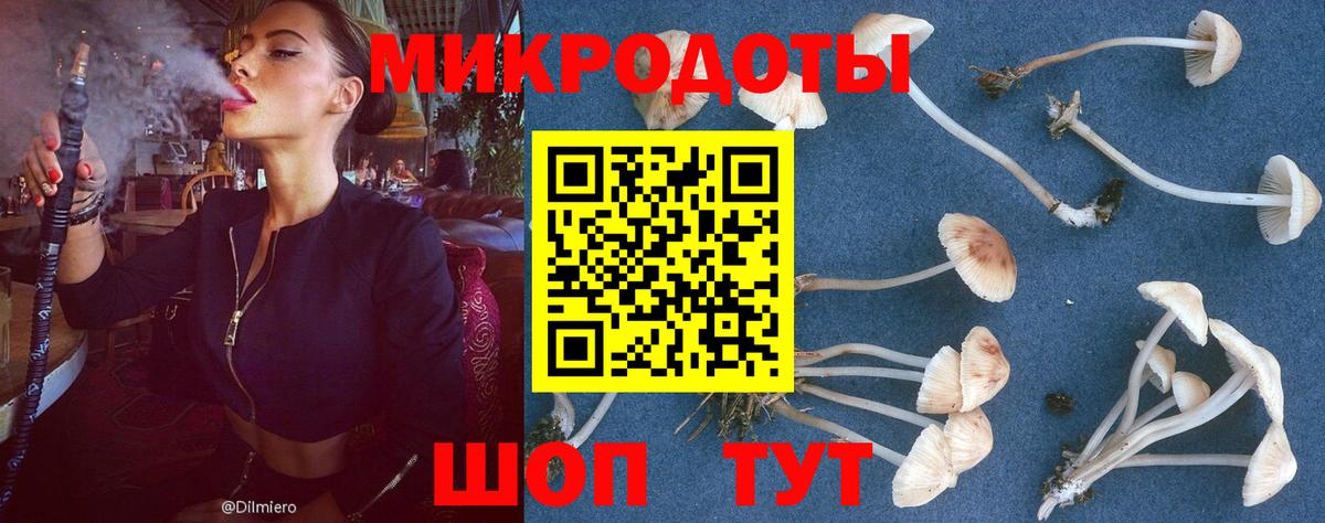 Псилоцибиновые грибы MAGIC MUSHROOMS  Вход с VPN  Чехов 
